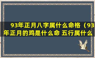 93年正月八字属什么命格（93年正月的鸡是什么命 五行属什么）